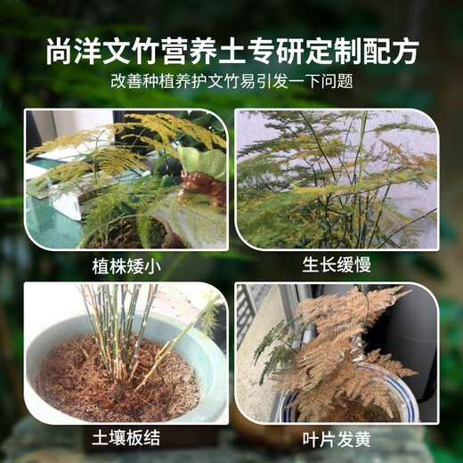 Shangyang Asparagus plant nutrient soil 8L gardening green vegetable growing organic peat soil granular soil potted planting matrix soil