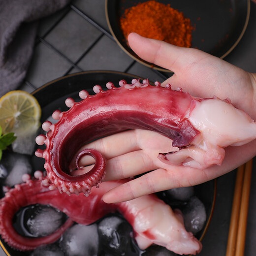 Fresh frozen squid tentacles 350g 3-5 pieces large octopus squid legs BBQ hot pot ingredients seafood aquatic products