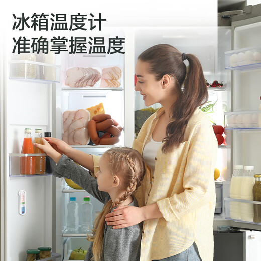 得力(deli)家用冰箱超市冰柜温度计婴儿老人儿童药店冷冻库保温箱冷藏柜测量计LE554