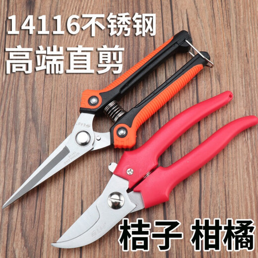 修枝剪子葡萄摘果剪 园林果树剪刀粗枝花剪 省力树枝修剪花的剪刀 H德14116高端直摘剪