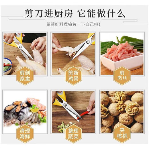 Zhang Xiaoquan Ciseaux de Cuisine Domestiques, Ciseaux Multifonctions, Ciseaux à Os de Poulet Puissants, Multi-Usages en Acier Inoxydable, Couper la Viande, Les Aliments et Les Légumes, Ciseaux de Cuisine Zhang Xiaoquan (Gris Jaune)