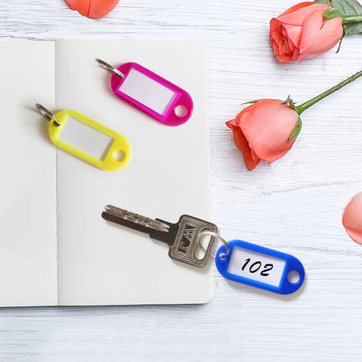 Deyin Colorful Key Key Chain Chain Classification Marc Key Tag Marque 9848 Clé Mation de gestion Bag étiquette de clé Stick Stick Office fournit 50 pièces / boîte