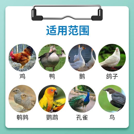 Changmu Danduoduo veterinary egg-producing polypeptide egg-laying spirit stimulates laying hens, ducks and goose premix feed additives egg-laying treasure Danduoduo 1kg/bag