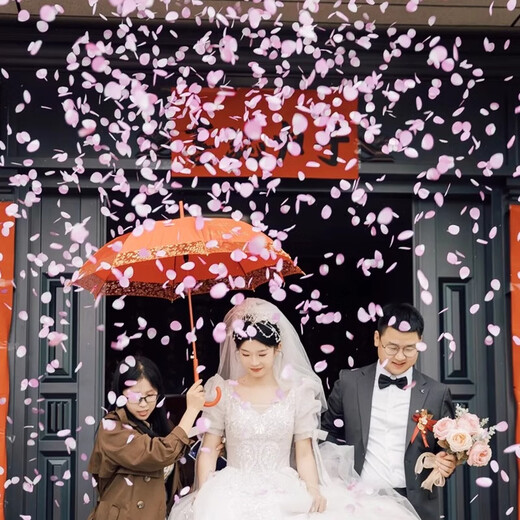 
Hip Kissing Leather Wedding Petal Salon Petal Rain Fireworks Supplies Collection of Salon Wedding Petal Spraying Petal Ribbon Ribbon Gift Bottle Cannon Holding the Hand [Red Petal Rain] 60 Models 4