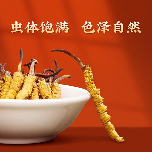 圣迪康藏冬虫夏草 新干虫草滋补送礼物佳品 送长辈礼品 营养品 3根/克  10克30根礼盒装