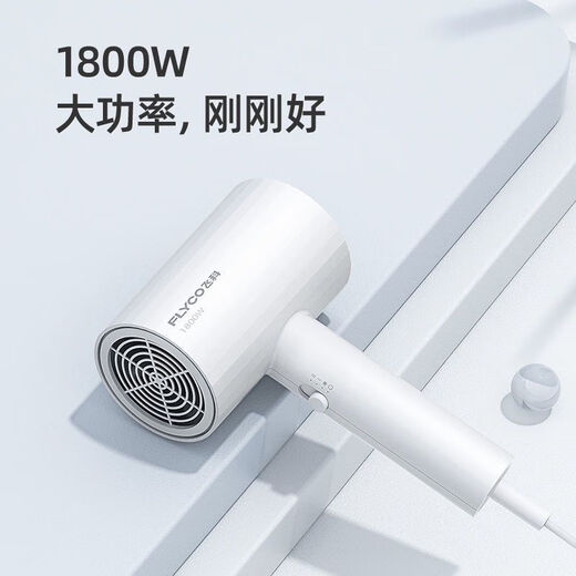 飞科电吹风机家用大功率吹风机冷热分恒温发廊用1800W吹风筒 飞科旗下博瑞速干绿色FH6296(1628) 吹风机标配