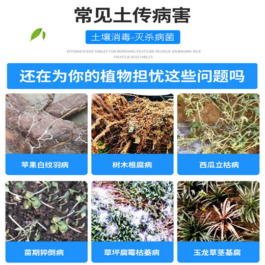 森活根大夫甲霜噁霉灵根部土壤杀菌剂园林苗草坪枯萎根腐立枯病杀菌剂