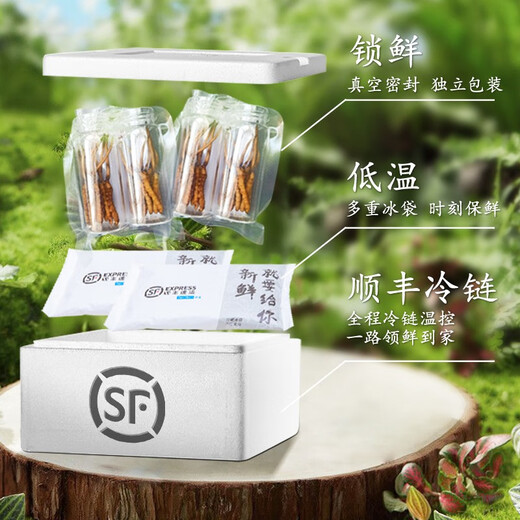 圣迪康藏2025年头茬新鲜冬虫夏草鲜虫草冷鲜空运送礼自用滋补礼品 0.6克/根 20根装
