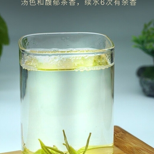 Ganxiangpo Xiangzhen Green Tea 2024 New Tea Yunnan Green Tea Strong Fragrance Type Hair Tip Spring Tip Silver Silk Pine Needle 2024 Green Tea Pine Needle Bag 500g