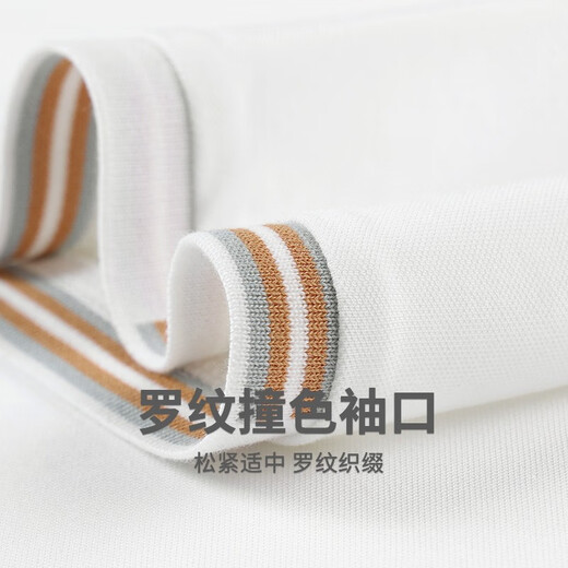 Dancing with Wolves [with mulberry silk] round neck short-sleeved T-shirt for men 2025 summer new embroidery cool breathable base short t6623 white 803 L (175)
