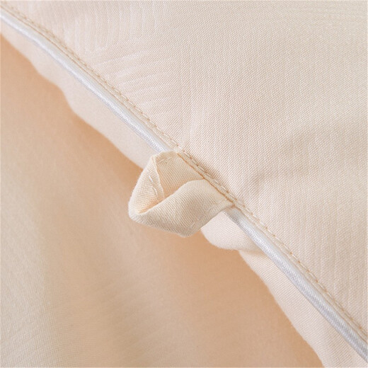 Anshui Baoxian Yunshurou double quilt quilt core winter quilt core four seasons spring and autumn quilt pink jade 150*215cm winter quilt - single person