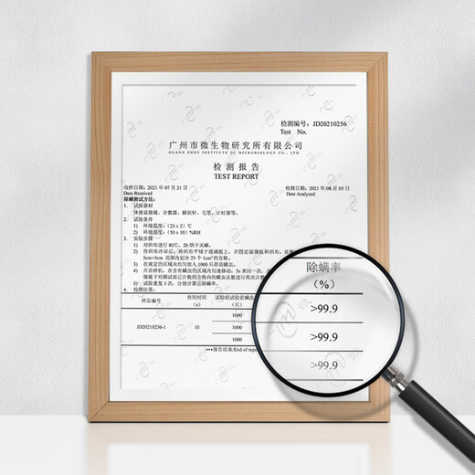 IRIS sofa carpet household small fabric cleaning machine spray and suction integrated cleaning machine vacuum cleaner fabric cleaning machine RNS300