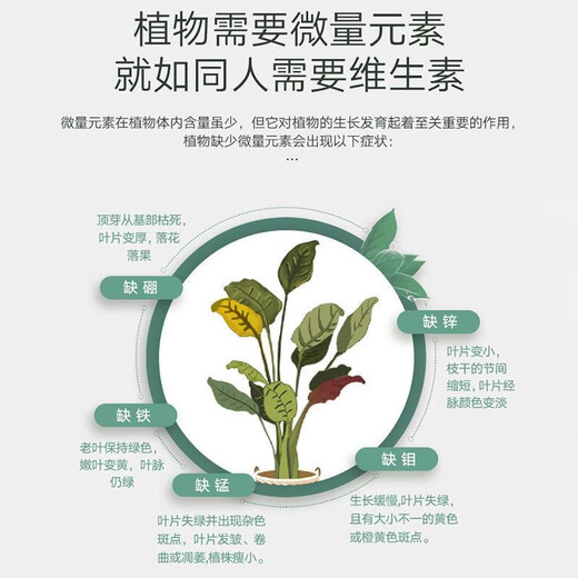 Yara Norway Yara Compound Fertilizer Organic Fertilizer Fruit Tree Flower Potted Seedlings Vegetable Plants Universal Comprehensive Nutritional Fertilizer 10Jin Jin equals 0.5kg