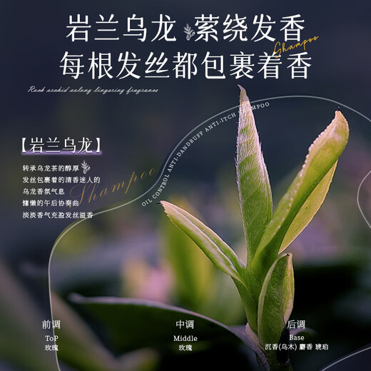 
AOPY oil control and anti-dandruff anti-itch shampoo 800ml Yanlan Oolong fragrance pleasant fluffy and gentle oil removal and fragrance self-operated