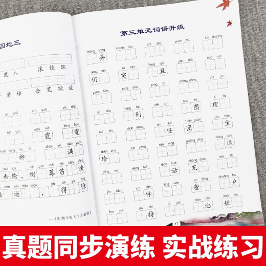 【京仓速发 明日达】小学二年级上册+下册专项训练（全2册）看拼音写词语生字注音14066**0