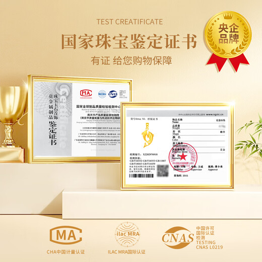 Chinese gold dolphin gold necklace women's pure gold pendant jewelry birthday gift for girlfriend and wife practical wedding anniversary I will have you for the rest of my life pure gold pendant + pure gold chain/Jingsuda