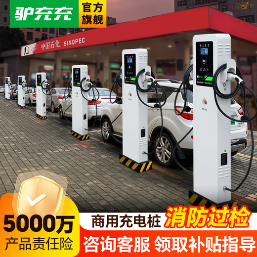 Lvchongchong New Energy Electric Vehicle Charging Pile Charging Station General Community BYD Tesla 7kw/14kw32A Commercial Charging Gun 2ZA7-2 14kW Charging Pile Scan Code + Swipe Card Double Gun 2ZA7-2
