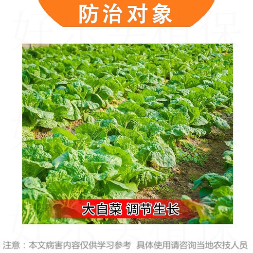 Guoguang Tiandu 8% Aminobutyl Plant Growth Regulator 200g