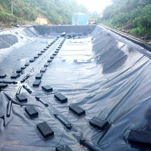 Qingyixuan fish pond anti-seepage membrane geomembrane fish pond tarpaulin breeding fish pond membrane pond membrane fish pond breeding membrane whole roll 12 meters 50 meters 0.2 mm thick
