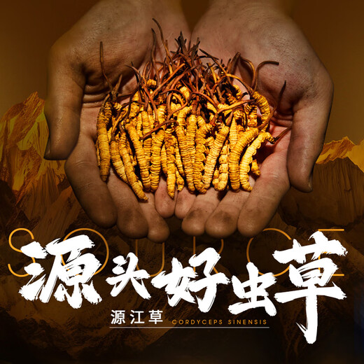 源江草 头茬虫草冬虫夏草20克 约60根 送长辈滋补品礼盒父母礼物