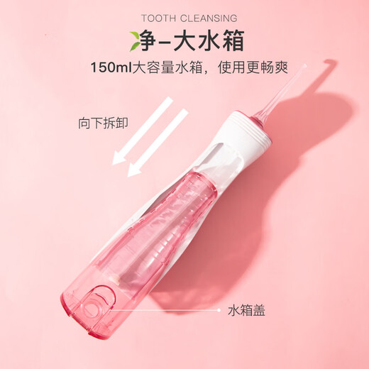 Saky Dental Irrigator/Water Flosser/Tooth Scrubber/Teeth Scaler Non-Electric Toothbrush Portable Design H1312 (Polar Black)