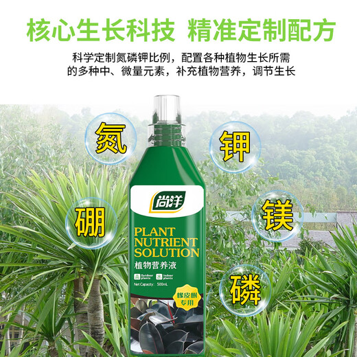 Shangyang rubber tree plant nutrient solution 500ml gardening flower potted flower fertilizer hydroponic planting organic fertilizer foliar fertilizer