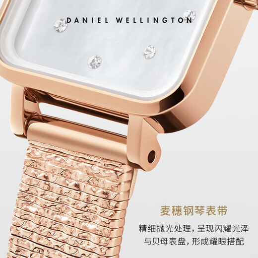 Daniel Wellington DW Watch Women's New Star Fritillary Women's Watch Fashion Small Square Watch New Year's Gift DW578