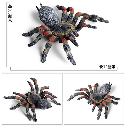 Simulated rubber spider Halloween prank toys Simulated spider poisonous spider insect animal model children's toys Ox-684 Brazilian red velvet spider 0.009KG