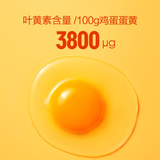 One s Member Store One s Member Lutein can be eaten raw, standard fresh eggs 20 pieces, 55g each, straight from the source One s Member Store One s Member Lutein can be eaten raw, standard fresh eggs 20 pieces, 55g each, straight from the source