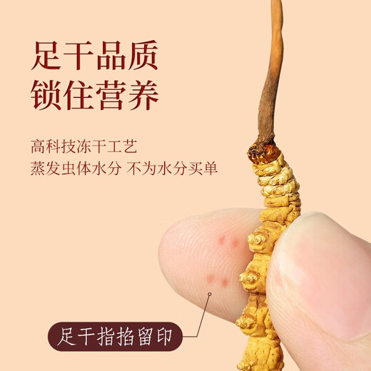 Boîte-cadeau Guchengtang Cordyceps Package indépendant haut de gamme Ganzi Cordyceps Boîte cadeau Boîte-cadeau Boîte cadeau cadeau Cade