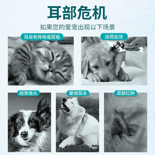 OEMG pet ear hair plucking powder painlessly cleans earwax dog Bichon Teddy ear ear mite hair plucking powder ear cleaning powder ear hair powder + pet hair plucking pliers + cotton swabs