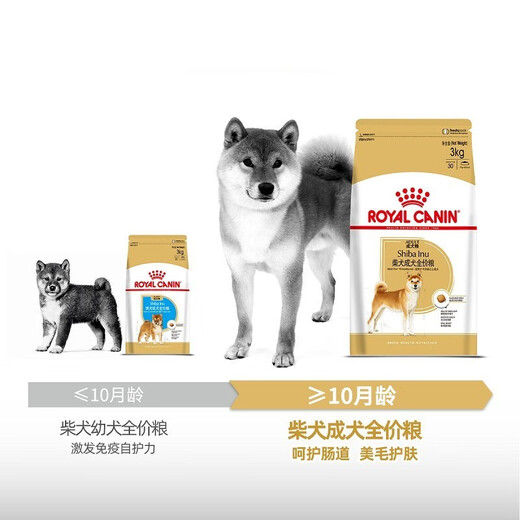 ROYAL CANIN Royal Dog Food SIA26 Shiba Inu Adult Dog Food Full Price Food Medium-sized Dog Adult Dog Healthy Skin and Coat Over 10 Months SIA26 Shiba Inu Adult Dog 3KG