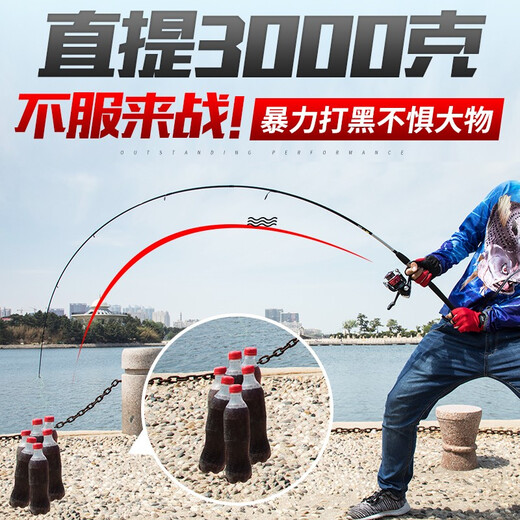 Daiwa (Daiwa) Luya -Stange Vollständiger Satz Fischereisen Marauder Einstangen Wasser Tropfenrad Spinnrad Set Carbon Pist