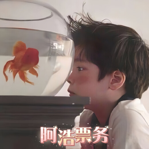 Jingdong Ahao performance ticketing, concert tickets, proxy shooting and information recording, dedicated to communicating with customer service 10 Ahao ticketing, concert tickets, communicating with customer service