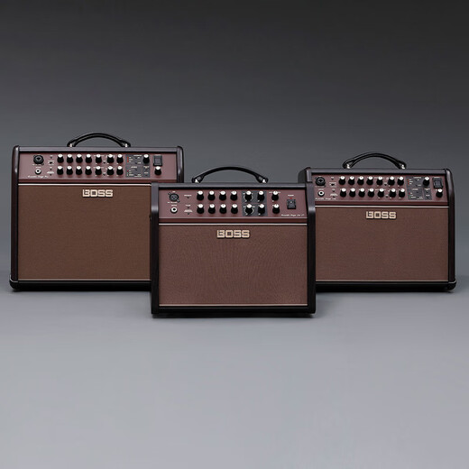 Roland Boss speaker ACS LIVE LT electric box acoustic guitar folk piano singing vocal effect audio ACS LIVE LT 60W + Shure 58S + gift package