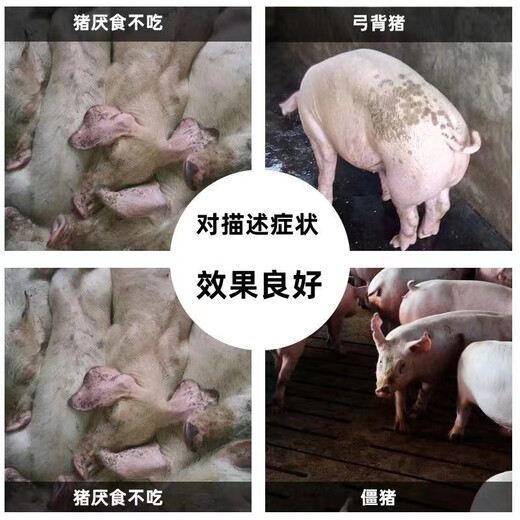 Fast selling high-copper 920 ferocious beasts are used to fatten pigs to gain weight and pull the skeleton to promote long fat pig powder 920 feed additives 10 bags, get 2 bags/real hair 12 bags