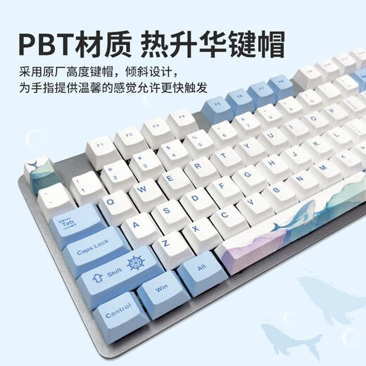 罗技（Logitech）K845机械键盘 游戏键盘 办公键盘有线全尺寸办公家用背光电竞吃鸡键盘 K845-青轴-鲸落+G102有线鼠标黑色