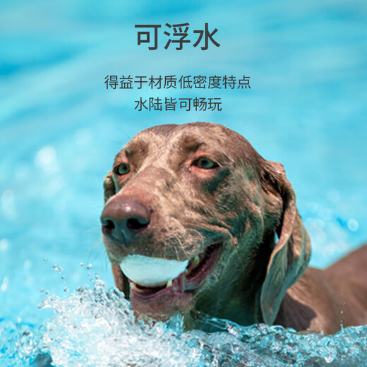 GiGwi dog toy, bite-resistant and molar-resistant, small dog toy ball, self-stimulating cat toy, explosive ball, pet toy ball