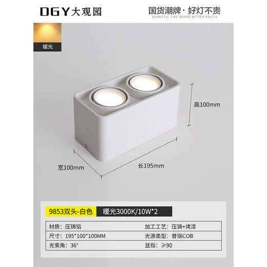 大观园（DGY）明装筒灯智能家居无主灯防眩极简护眼灯高显指格栅灯中山灯具429O 9853双头白色普瑞20W-暖光