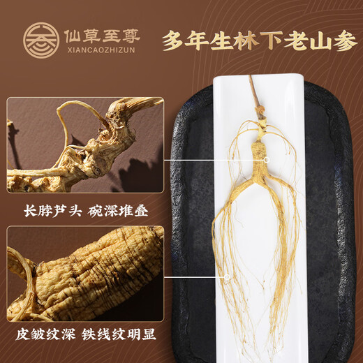仙草至尊 林下山参12g/根 长白山人参生晒参泡酒煲汤秋冬送长辈礼品