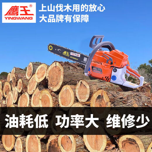 Eagle King Original Authentic 2500/5800/6500/6210 High Power Home Tragbare professionelle Holzschnitzerei Säge Gott Säge Eagle King 7200 ist mit 2 importierten Ketten und 1 Führungsplatte ausgestattet