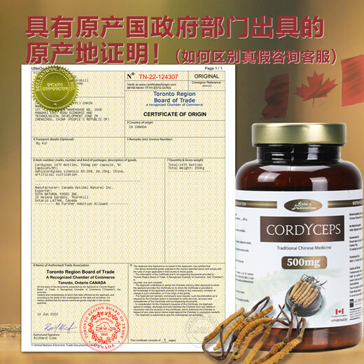 Sota's Dedicat Canada Original importé Cordyceps Mycelium Cordyceps Capsules 90 Capsules / bouteille de cadeaux du festival de la mi-automne
