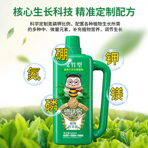 Devodo Asparagus special plant nutrient solution 500mL flower green plant hydroponic flower fertilizer rich bamboo Guanyin bamboo leaf fertilizer