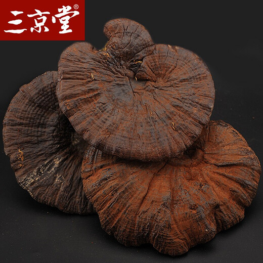 三京堂野生黑灵芝整枝 长白山紫灵芝片林芝茶可搭灵芝 250g【精选大枝 带灵芝孢子粉】 黑灵芝