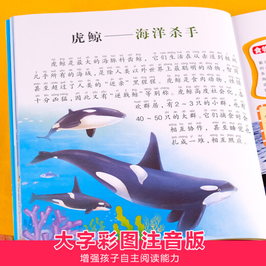 
Marine Biology World Encyclopedia Color Picture Phonetic Edition Children's Books and Books Over 689 Years Old Picture Books Story Books for Grade 1 and 2 Primary School Students' Interesting Science Encyclopedia Complete Set of Extracurricular Books with Pinyin Children's Encyclopedia - Ocean World (Audio Companion Reading Color