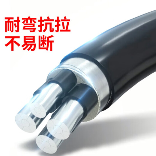 正泰（CHNT）YJLHV铝合金电缆铝电缆线4芯3+1芯10/16/25-240平方铝合金3X16+ 铝合金3X240+1X12010米