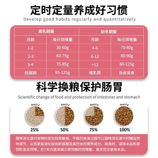 Oxfam Insect Protein Meat Cream Dog Food for Adult Dogs and Puppies 1.5kg Gastrointestinal Conditioning Hair Beauty and Skin Care Guaranteed Refund Meat Cream Dog Food Gastrointestinal Conditioning 5.5kg 1 Bag