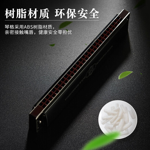 天鹅德国进口音簧复音口琴重音高端成人专业演奏级乐器长辈送礼 28孔 黑色复音C调 【专业演奏级】