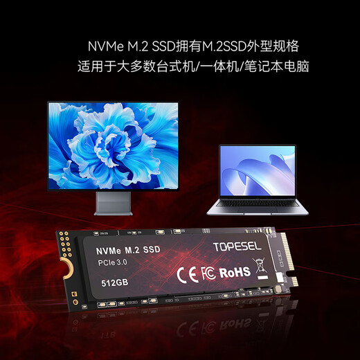 TOPESEL convient au disque SSD m.2 (protocole nvme) PCle 3.0 de particule du fleuve Yangtze intégré 512G PCIe3.0 modèle économique