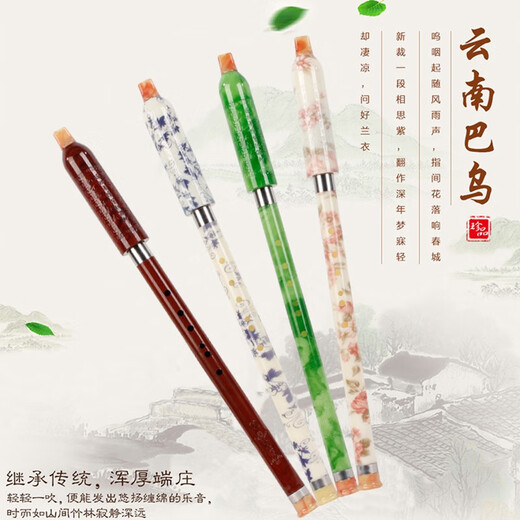 名森竖吹巴乌成人儿童学生初学入门仿红木仿玉单管巴乌乐器 仿红木G调